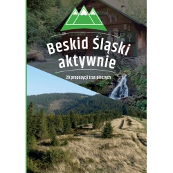 Beskid Śląski aktywnie. 29 propozycji tras pieszych